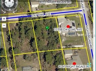 10390 Day Owl Ave, Weeki Wachee, FL 34613