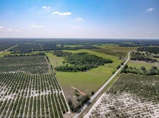 County Road 665 Rd, Ona, FL 33865