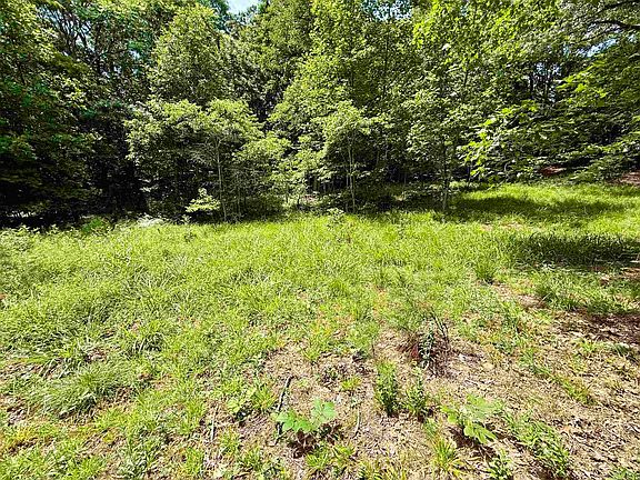 2nd image of LOT 26 Caroline Rd
