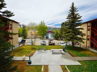 214 S Harris St #203, Breckenridge, CO 80424