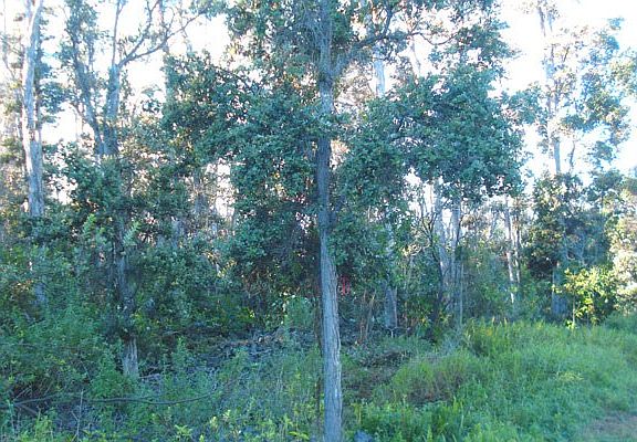5th image of Hukilau Dr Lot 3