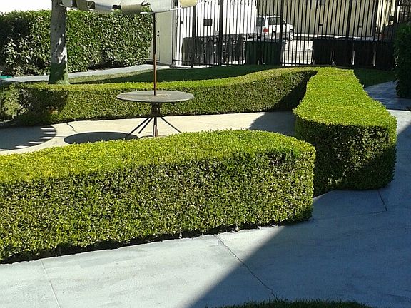 3rd image of 3868 Potomac Ave APT 1