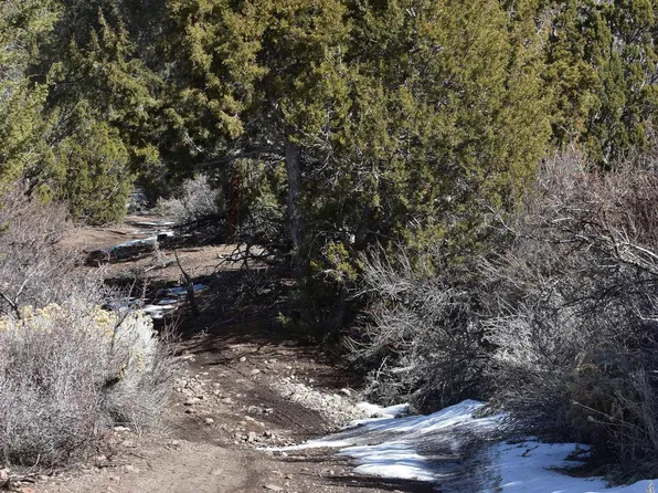 Buckeye Rd, Gardnerville, NV 89410