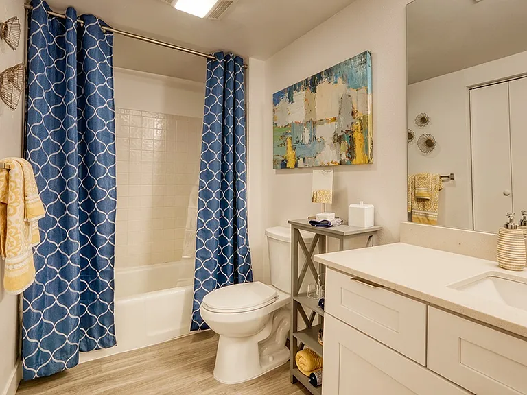 Model apartment bathroom