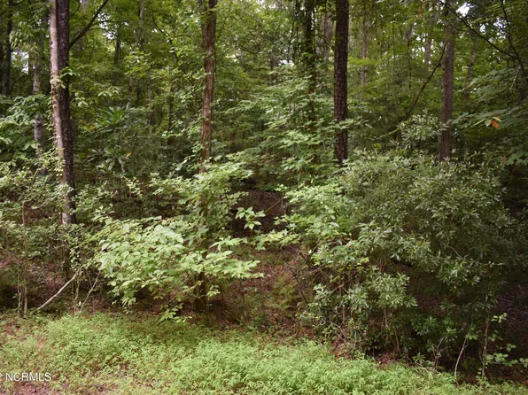 Lot 2 Fawn Circle, Blounts Creek, NC 27814
