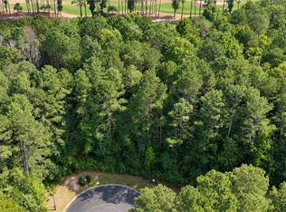 120 Hawks Ct, Ball Ground, GA 30107