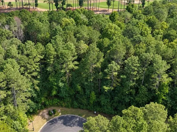 120 Hawks Ct, Ball Ground, GA 30107