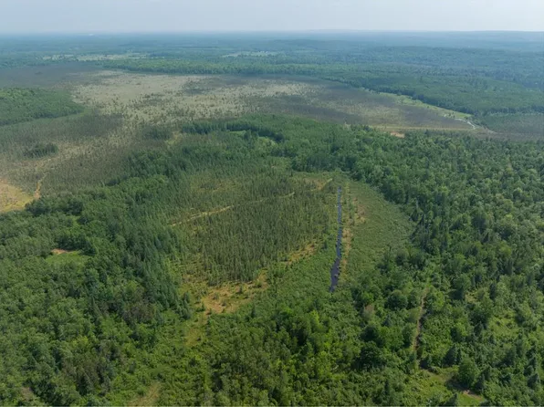 486.02 Acres Cemetery Road, Radisson, WI 54867