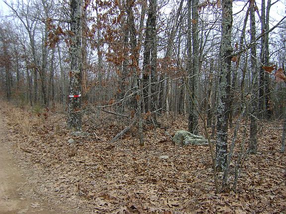 5th image of Kennedy Rd