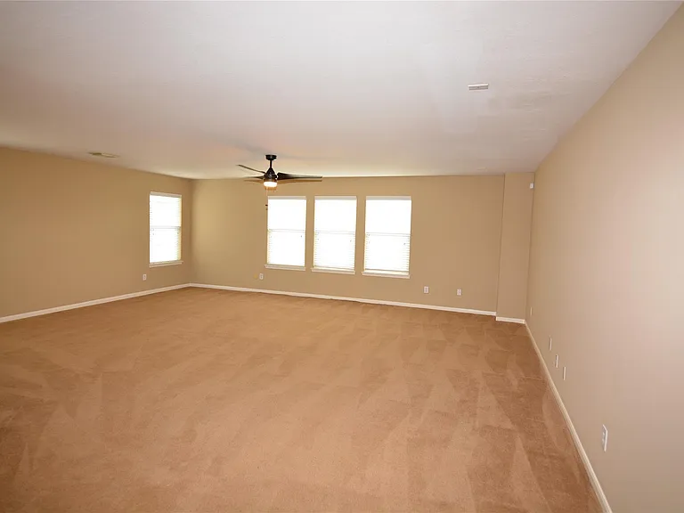 3903 Brighton Springs Ln — Photo 18