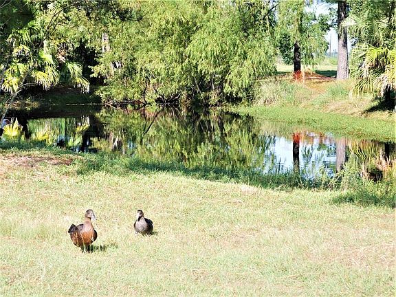 3rd image of 7622 Heron Lakes Dr