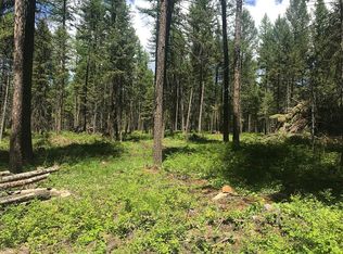 1411 Prairie View Rd, Whitefish, MT 59937