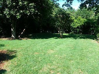 Large back yard (fenced in)