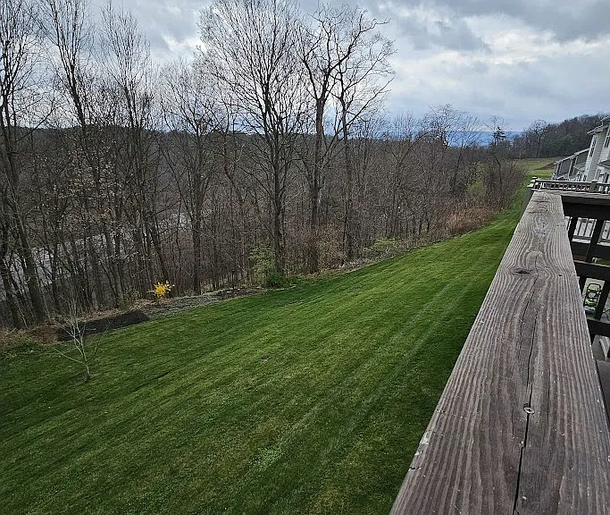213 Jonathan Ln #1 — Photo 13