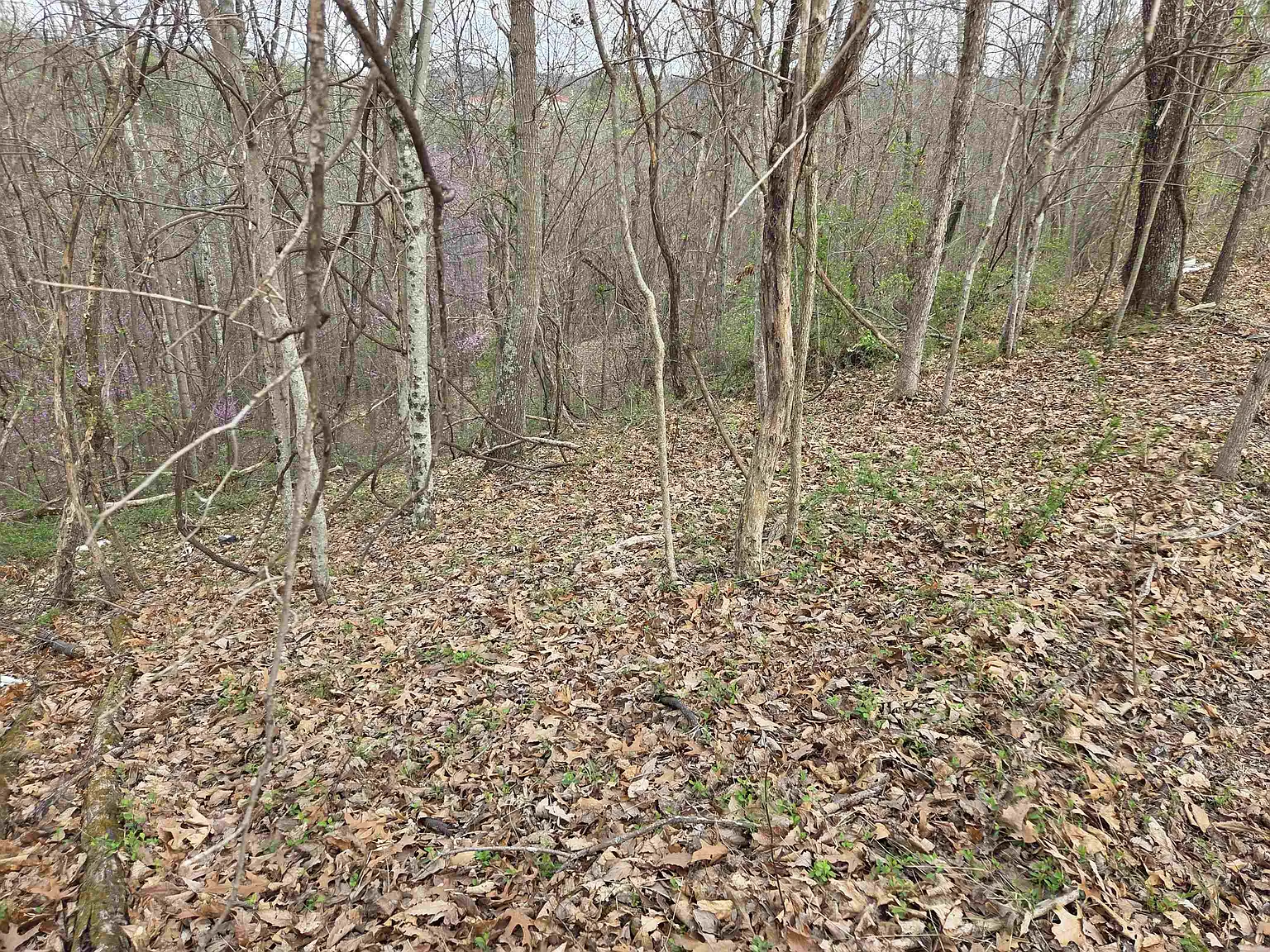 Kiser Fork Rd photo 1