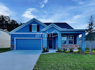 3228 Bridge Haven Dr, Wesley Chapel, FL 33543