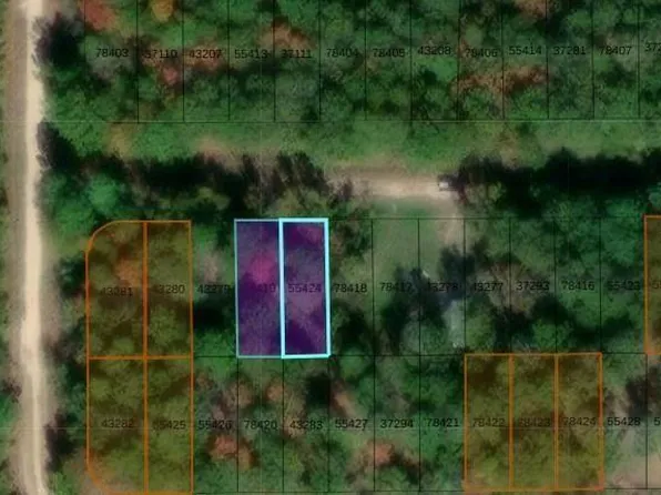 Lots 435 And 436 Wake Frst, Livingston, TX 77351