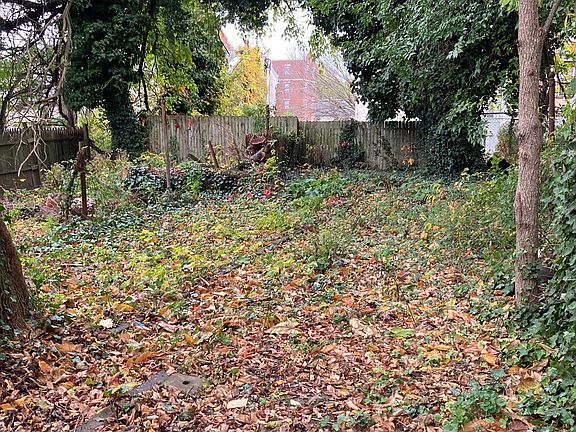 Rear Yard