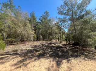 Tbd Kitty Avenue #13, Interlachen, FL 32148