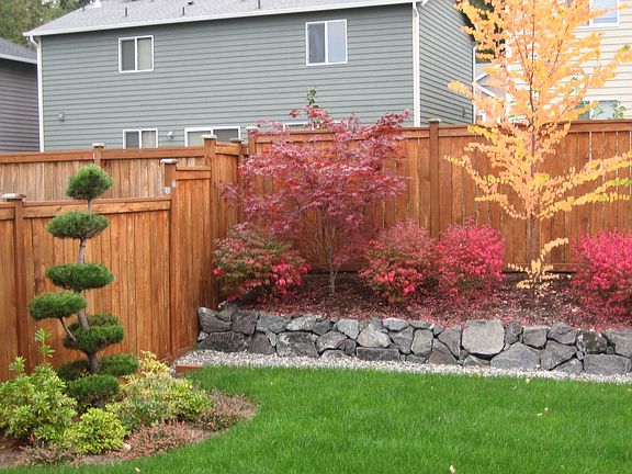 backyard in summer