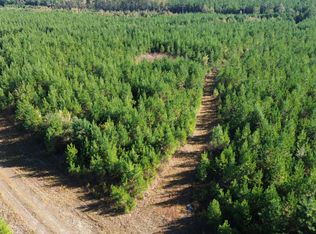 24 State Hwy #311, Cross, SC 29436