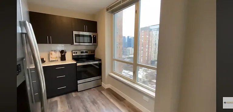 40 E Delaware Pl #12F — Photo 6