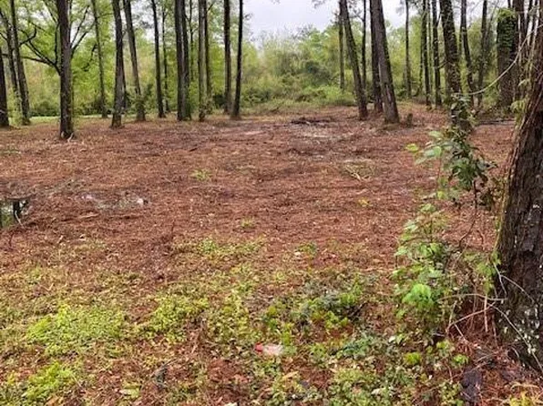 LOT 2 Hart Rd, Hammond, LA 70403