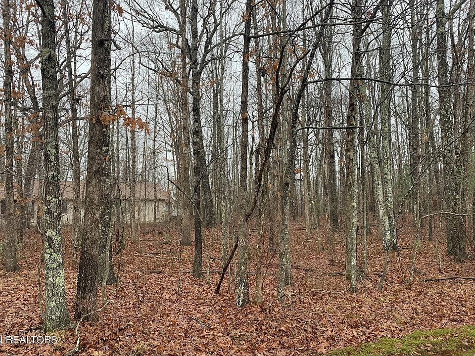 2nd image of 105 Beason Ln