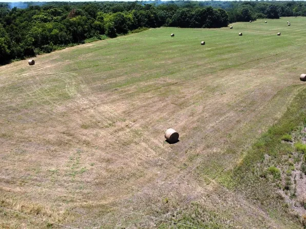 Fm 1566, Wolfe City, TX 75496