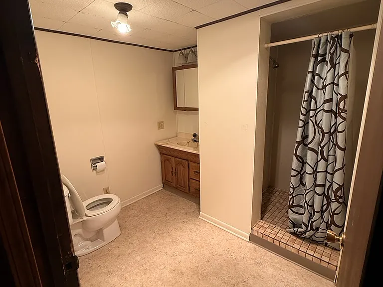 Lower level bath with shower