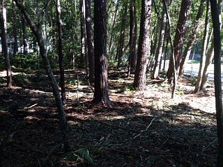 3rd image of 0 Danbrook St #8