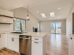 45 Shetland Ct, Highlands Ranch, CO 80130