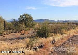 Rear of lot looking south