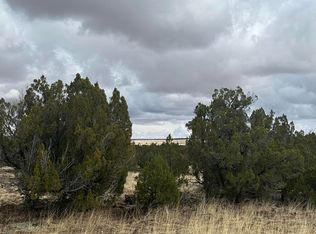 2093 McGihom Rd, Show Low, AZ 85901