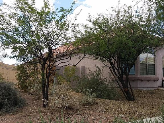 4th image of 33706 N 24th Dr