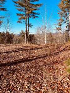 (Undisclosed Address), Murphy, NC, 28906