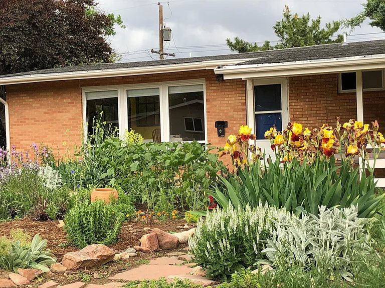 Front garden with sprinkler system including drip irrigation for veggie beds.