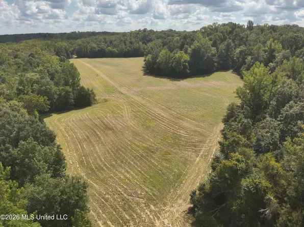 State Highway 35, Carrollton, MS 38917