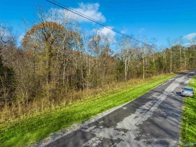 1836 County Road 870, Crane Hill, AL, 35053