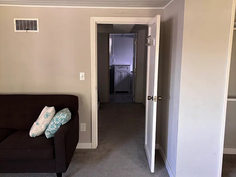 Walkthrough hallway/bonus room connecting living/bedroom and bathroom, large bedroom closet visible to right