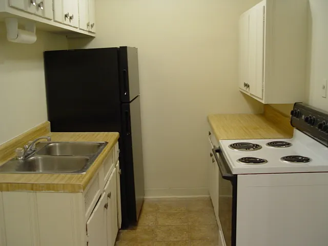 233 Corbin Ave — Photo 7