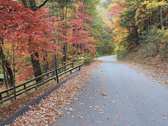 Looking down Sunset Ln