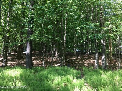 LOT 615 Locust Ln, Pocono Lake, PA, 18347