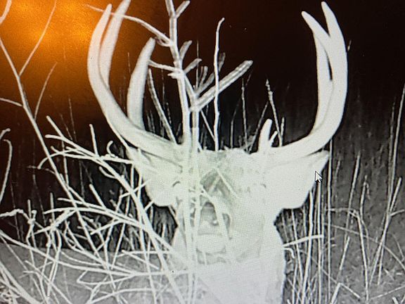 3rd image of 240th Ave