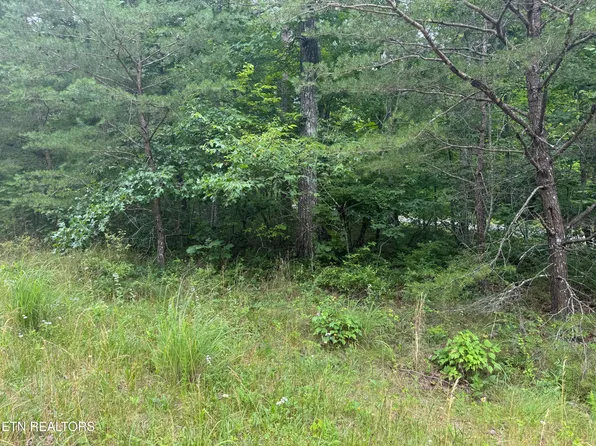8941 Pima Dr, Crossville, TN 38572