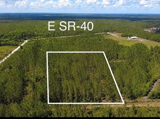 Wild Cur Rd, Pierson, FL 32180