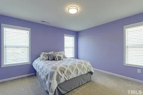 1232 Brown Velvet Ln — Photo 21