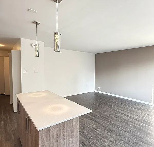 1511 S Laflin St — Photo 7