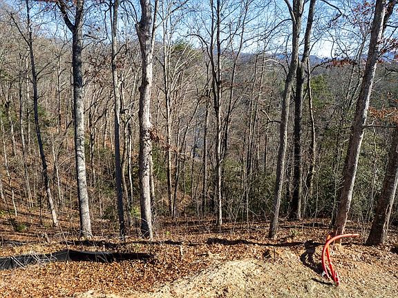 5th image of 3 Osprey Mountain Way