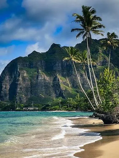 Neighborhood Scenery:
Ka'a'awa Beach